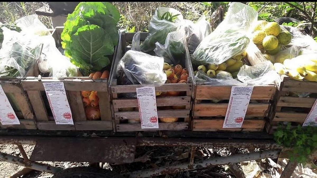 Cestas de hortifruti preparadas para entrega