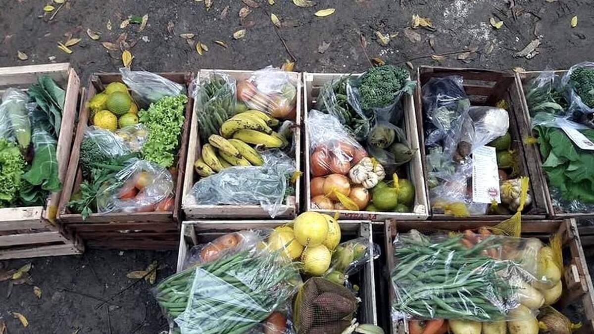 Cestas reais já montadas pelo Campo Delivery